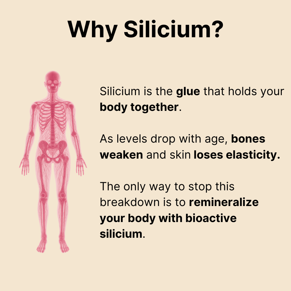 Regensil - Joint Repair